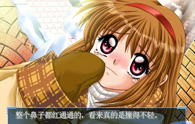 【汉化】Kanon 游戏截图